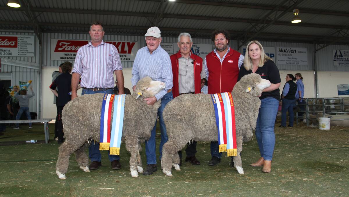 The Rangeview stud, Darkan, exhibited both the grand champion and reserve grand champion Poll Merino ewes with their champion medium wool and champion fine wool Poll Merino ewes respectively. With the ewes being held by John and Melinda King, Rangeview stud, were judges Paul Norrish (left), Angenup stud, Kojonup, Preston Clarke, Perth and Steven Bolt, Claypans stud, Corrigin.