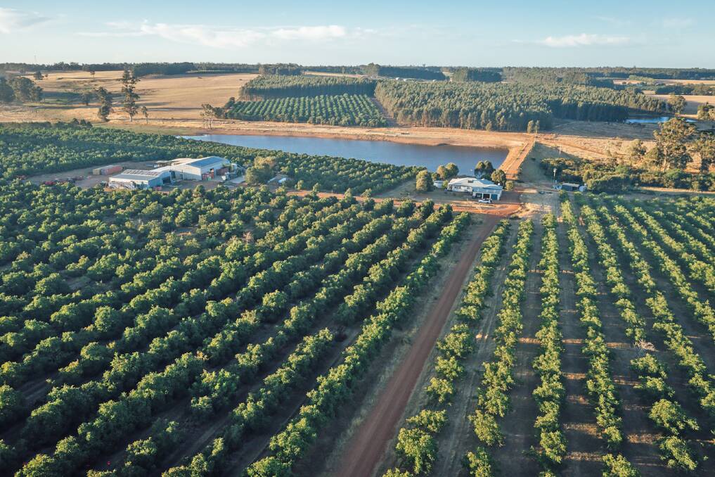 The Nannup farm is where it all began for the Williams family and is their country home. Five hectares are dedicated to producing their range of organic walnuts.