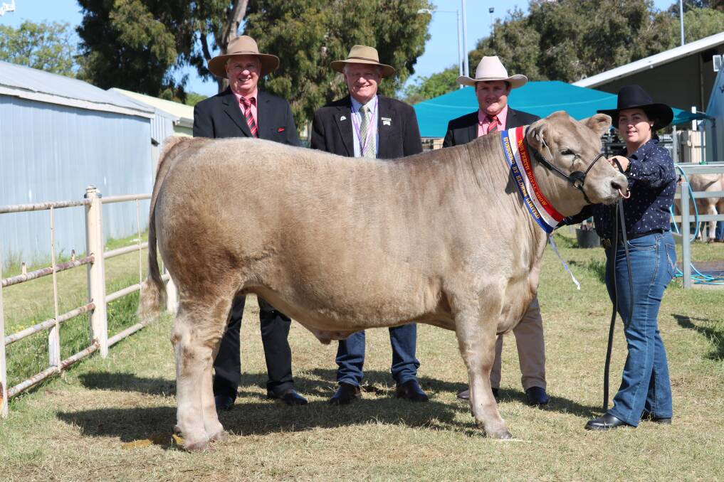 With the champion extra heavyweight steer, this 620kg Murray Grey cross exhibited by Tullibardine Angus, Albany, were sponsor Elders representatives Michael Longford (left), Deane Allen and Pearce Watling and Tullibardine co-farm manager Eliza Bradfield.