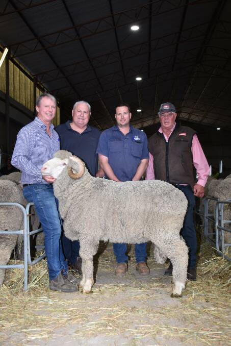 In the Merino ram offering at last weeks East Mundalla on-property ram sale prices hit a high of $4400 for this ram purchased by the Rockdale Valley stud, Muntadgin. With the ram were East Mundalla co-principal Daniel Gooding (left), Rockdale Valley classer Kevin Broad, buyer Brendan Maher, Rockdale Valley stud and Elders Lake Grace agent Graeme Taylor.