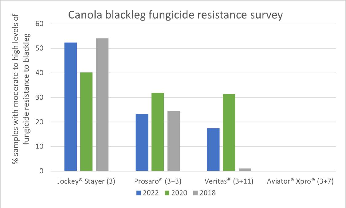 Data extracted from the 2022 blackleg fungicide resistance survey conducted by Marcroft Grains Pathology continued to show nil levels of resistance to Aviator Xpro fungicide. Notes: 122 stubble samples collected in 2022 and 103 screened (19 samples had insufficient disease for screening).
