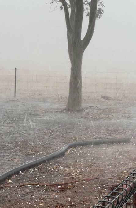 Hail at Lisa and Andrew Wests farm at Meckering over the weekend.