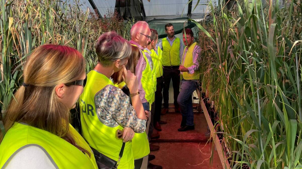
InterGrain oat breeder Allan Rattey (right), explains his work to the Grains Australia Oat Council at its visit earlier this month to the companys Bibra Lake facility. Photo: InterGrain
