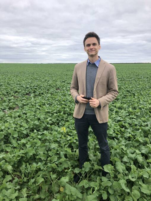 Rabobank agricultural analyst Dennis Voznesenski provideS commentry on the Australian canola market.