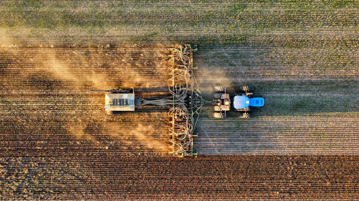 GIWA has predicted that between half to two-thirds of intended canola plantings will go in the ground in the central medium to low rainfall regions of the State.
Photo: Caleb Levy, Doodlakine