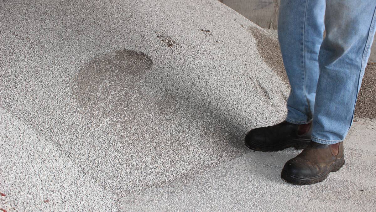 Man standing next to a pile of urea - while suppliers are assuring growers that they will be able to fulfil orders, there is unlikely to be any extra supply.