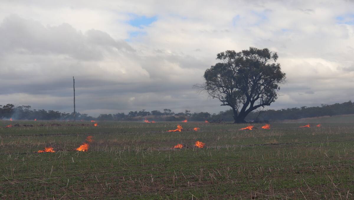The canola stubble burning on the Byfield farm.