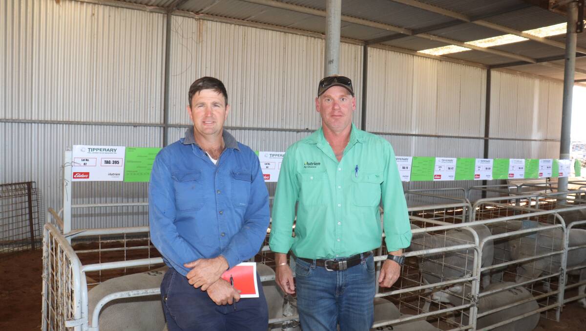 Volume buyer in the sale was Andrew Gillam (left), Gabyon Pastoral Company, Dongara, who bought 27 rams at an average of $909, and is with Nutrien Livestock, Geraldton agent Murray Paterson.