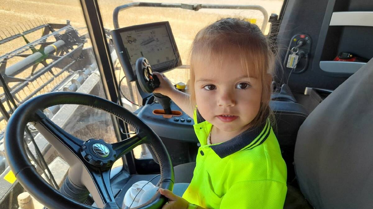 Two-year-old Piper enjoyed helping her dad Peter Wilkins, owner/operator of Spring Valley at Kellerberrin, drive the header and spent some quality family time with him despite the long hours onfarm.