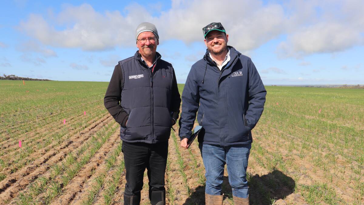 FMC technical extension WA, Stephen Pettenon (left), with SLR and Synergy Consulting agronomist Joel Lancaster in their pre- and early post-emergent ryegrass and radish control trial.