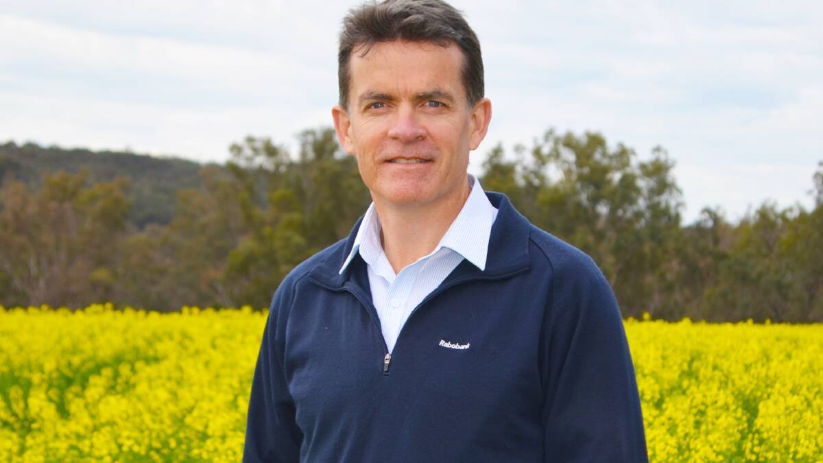 Rabobank regional manager Western Australia, Steve Kelly, said the lift in agricultural sector sentiment reflects the positivity generated by the States second consecutive record-breaking winter grain crop.

