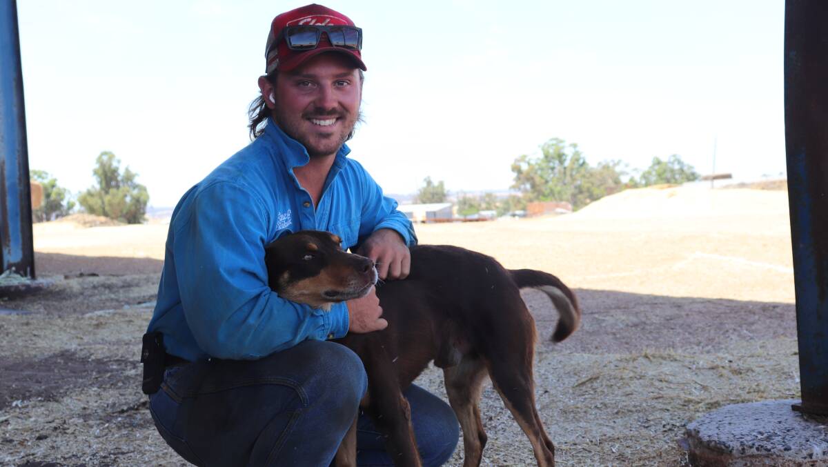 United Enterprises livestock manager Marshall Bowey, with pure bred kelpie Scratch, who follows Mr Bowey everywhere onfarm and is often found sitting ready on the back of his ute. 