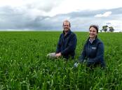 WA farmer Scott Walker, pictured with broadcare crop specialist Caroline Dix, said he was impressed with what Luximax had done for his paddock. Picture supplied