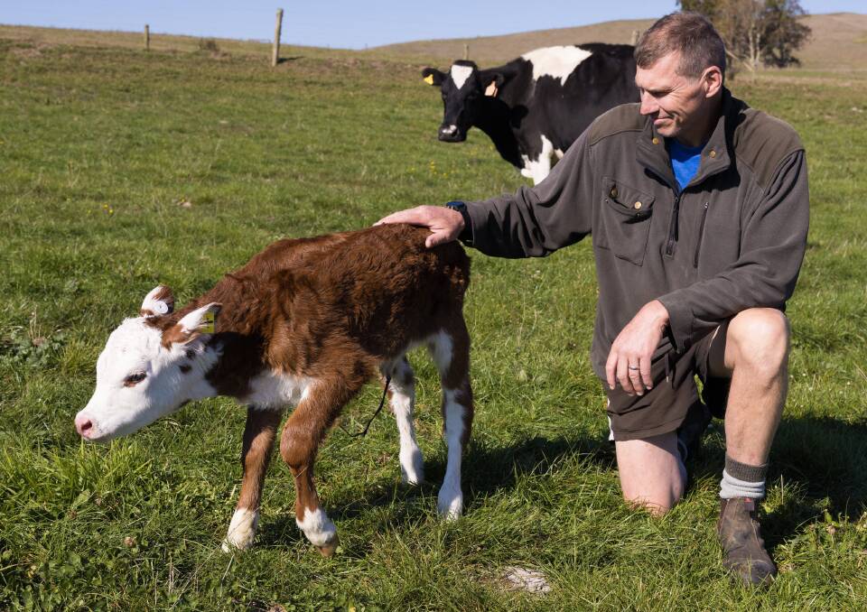 New Zealand dairy and beef farmer Chris Falconer. Picture supplied