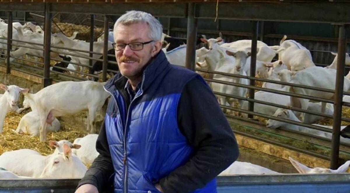 Dutch farmer Klaas Meekma milks more than 1100 goats at Deinum and said the government had made a mess of the situation. Picture supplied 