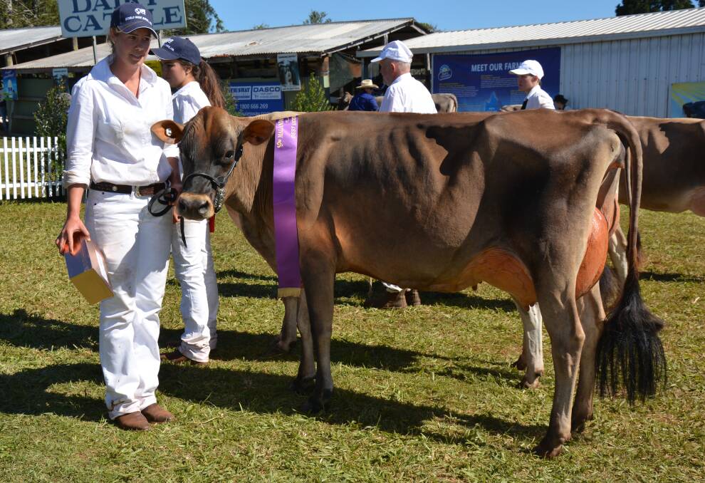 Pamela Minogue with Long Lanes GG Fernleaf, champion Jersey cow and best udder Jersey at the 2016 Malanda Show. Picture by Anne Daley