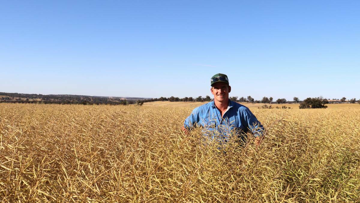 Canola growers had plenty of good things to say about the year's crop.