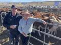 Brian and Elaine Smith, Macs Creek Pastoral, Benambra, sold 28 Hereford mixed-sex calves, 8-9 months, at Hinnomunjie.