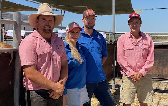 Brendan Millar (left), Elders, Margaret River, Emily Res and Sam Weightman, Topweight Simmentals, Forest Grove (via Margaret River) and Alec Williams, Elders, Margaret River, following the Topweight Simmental annual on-property yearling bull sale last Friday.