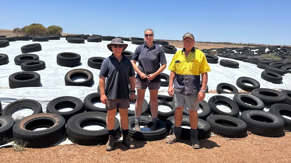 Craig (left), Rachael and Peter Jensen in front of their oaten silage which will form the basis of feedlot diets especially for growing ewe lambs that are placed in the feedlot each autumn. The Jensen family was the WAMMCO Producer of the Month winner for September.