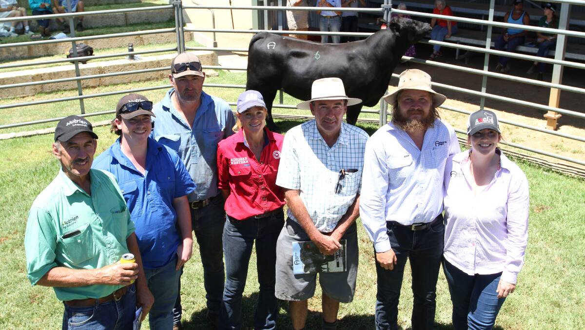 With the $9500 top-priced bull Ardcairnie T004 (by Sitz Stellar 726D) purchased by Old Bambun Grazing, Gingin, at the third annual Ardcairnie Angus bull sale for the Dewar family, Guilderton, held at the Gingin saleyards last week were Nutrien Livestock, Gingin agent Greg Neaves (left), Ben Fowler, Leigh and Megan McCallum and Steve Neville, Old Bambun Grazing and Ardcairnie stud co-principals Joe and Jessica Dewar, Guilderton.