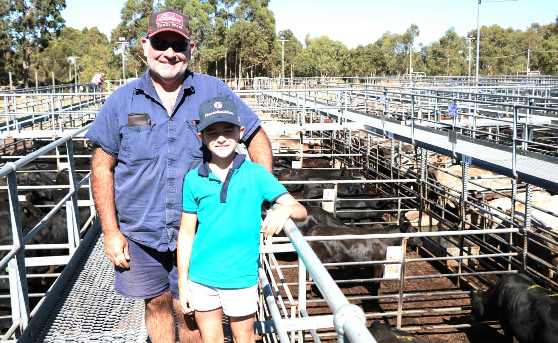 Brad Piacentini, Moorlands Grazing, Boyanup, had his daughter Maggie with him at the sale. Moorlands Grazing sold the top price beef steers for $1218.