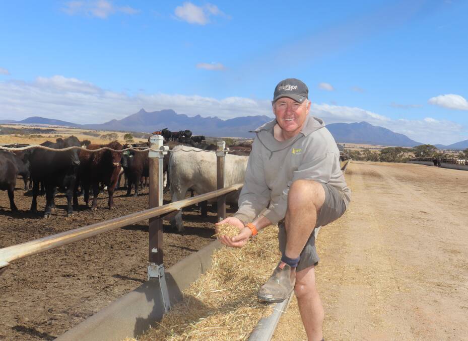 Borden lotfeeder and grain producer Paul OMeehan on his family farm at the foothills of the Stirling Ranges at Borden, which dates back four generations.