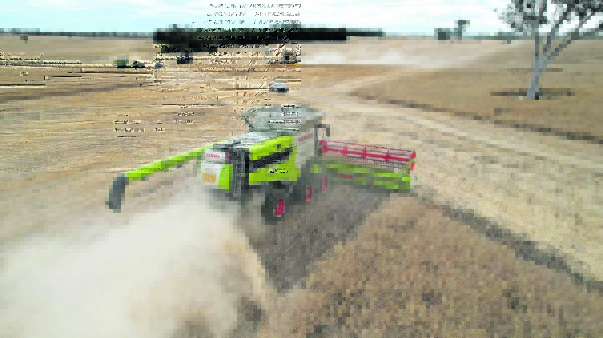 Harvesters in action at the community cropping program at Tambellup last year.