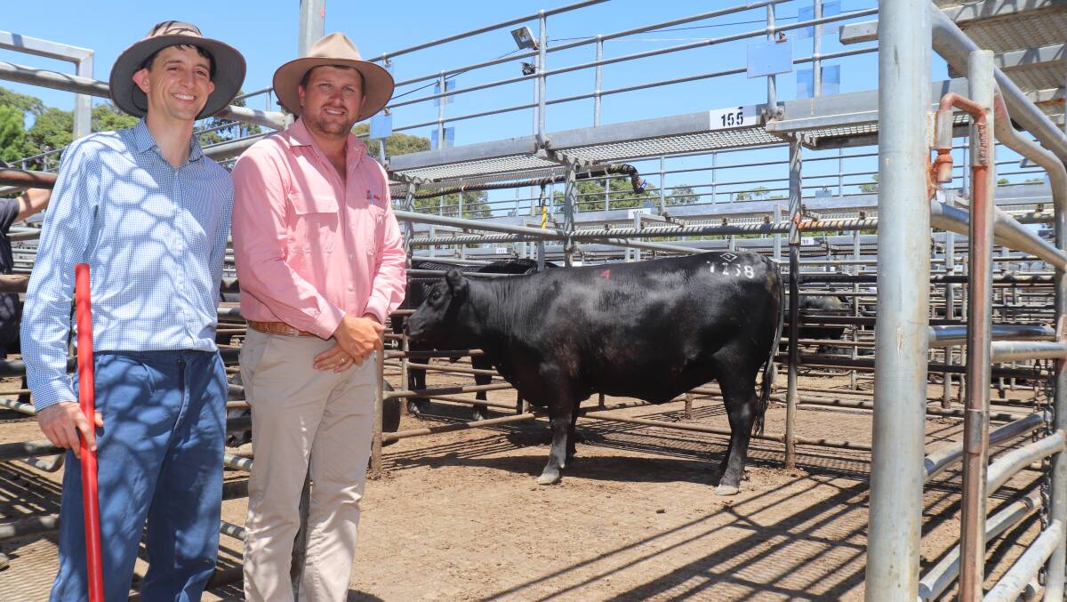 The top price heifer sold for $6800 to AE Roesner, Marybrook, and with the heifer, Gandy Pillar T158 is Steven Gandy (left), Gandy Angus and Elders Busselton representative Jacques Martinson.