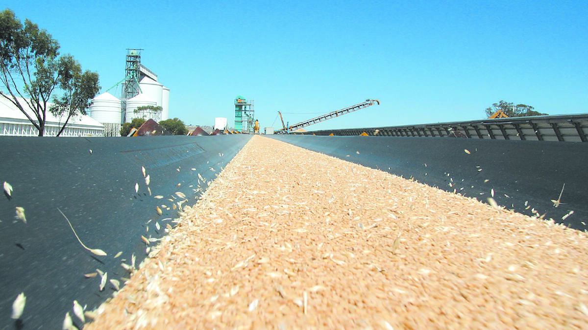 WA's record crops are going to get bigger