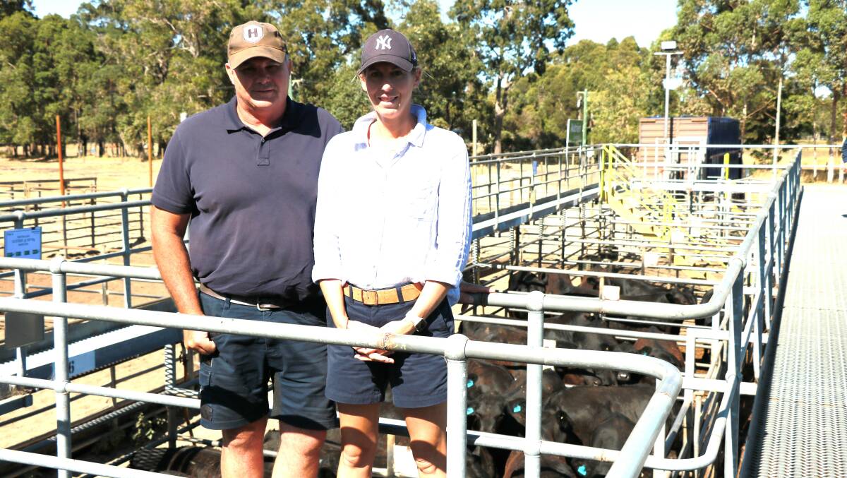 Mark and Peta-Jane Harris, Treeton Lake, Cowaramup and Dardanup, looking over their quality weaners that topped the day's sale at $1117.