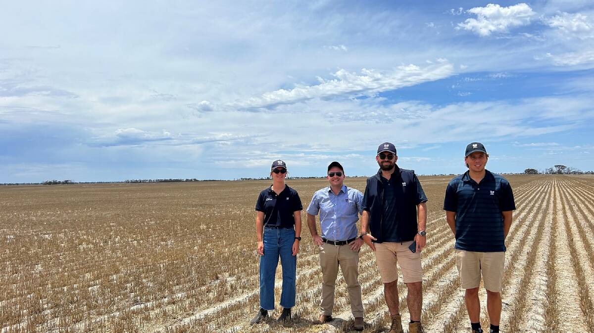 Vacation Program student Chelsea Exell in the field with CSBP Fertilisers agronomist Gustavo Boitt (second left), senior account manager Zak Hatfield and account manager Tom Palmer.
