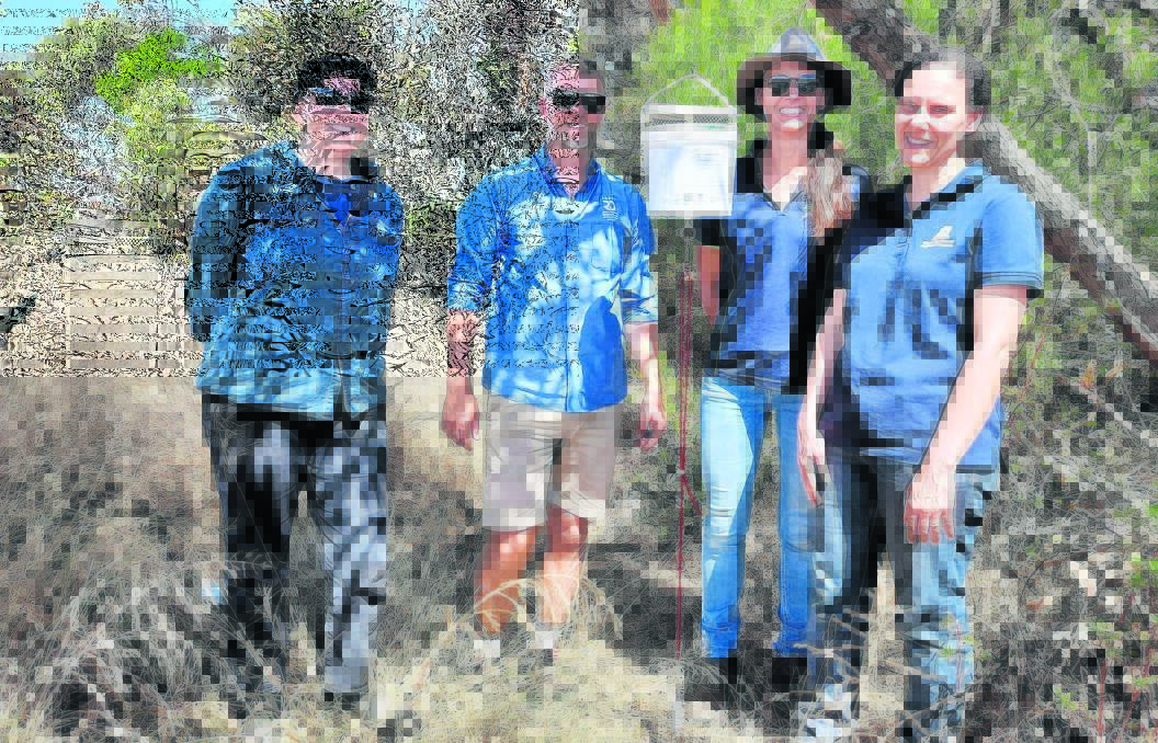 Kate Muirhead (left), SARDI, Dr Kym Perry, SARDI, Lizzie von Perger, Stirlings to Coast Farmers and Svetlana Micic, DPIRD, place snails with parasitic flies into release buckets as part of a biocontrol trial at Wellstead recently.