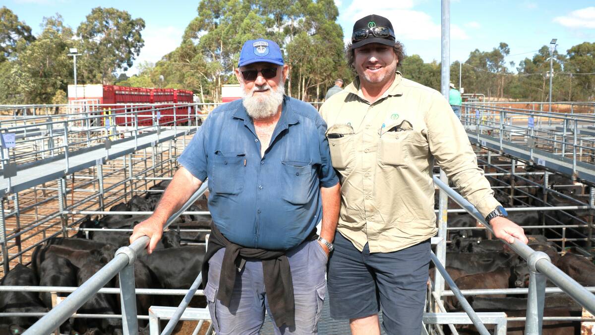 George (left) and Jamie Nicolaou, Manjimup, sold weaner steers to $1052 in the Nutrien Livestock section of the Boyanup weaner sale.
