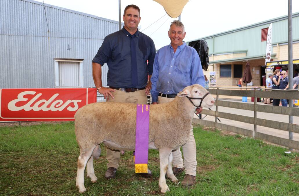 The grand champion White Suffolk title went to the champion ram exhibited by Max Whyte and Gail Cremascos Brimfield stud, Kendenup. With the ram were judge Scott Mitchell (left) and Max Whyte.