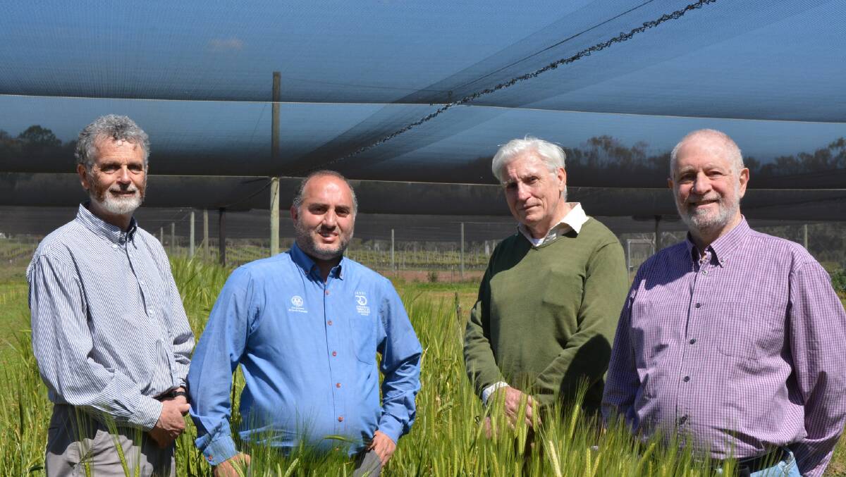 Four of the expert authors of the Water Smart Farming manual, Peter Hayman (left), Mariano Cossani, Glenn McDonald, and Victor Sadras. Photo by GRDC.