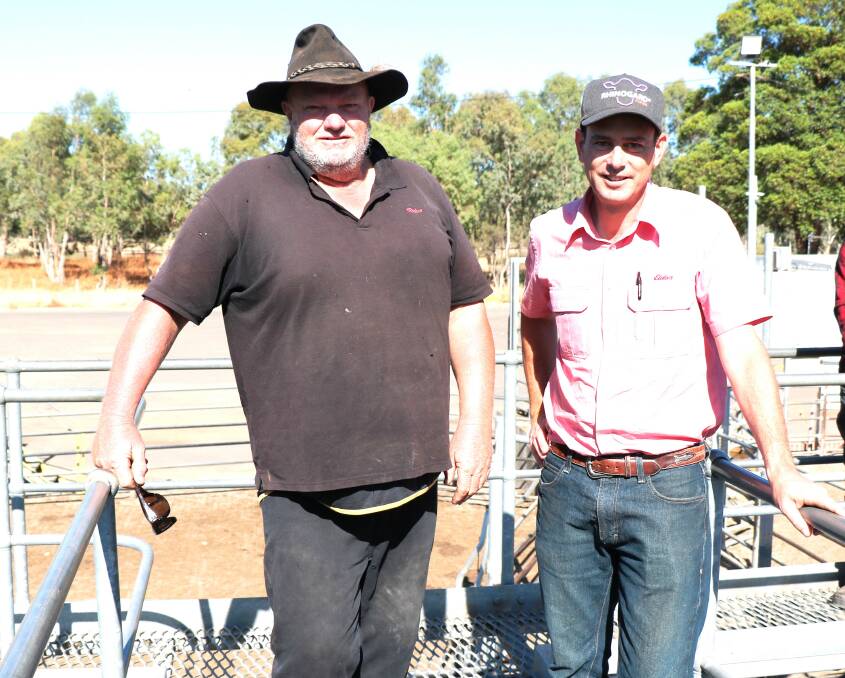 John Hunt (left), Kirup, caught up with Elders South West livestock manager Michael Carroll before the weaner sale. Mr Hunt sold several pens of weaners to a top of $891.