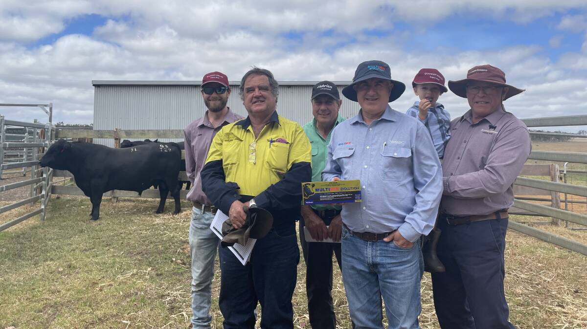 With the top-priced $8500 bull, Quanden Springs Tully T29, is John Stoney (left), Quanden Springs stud, buyer Andrew Collins, AP Collins, Napier, with Nutrien Livestock Albany agent Terry Zambonetti with Virbac area sales manager and sponsor Tony Murdoch, with Quanden Springs stud co-principal Noel Stoney (right) holding Isaac Stoney.
