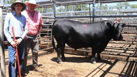 Steven Gandy (left), Gandy Angus and Elders Manjimup and Pemberton representative Brad McDonnell with the top-priced $15,000 bull, Gandy Nugget T291, weighing 960kg, which was purchased by Anthony McDonald, Kuloomba Farming, Esperance.