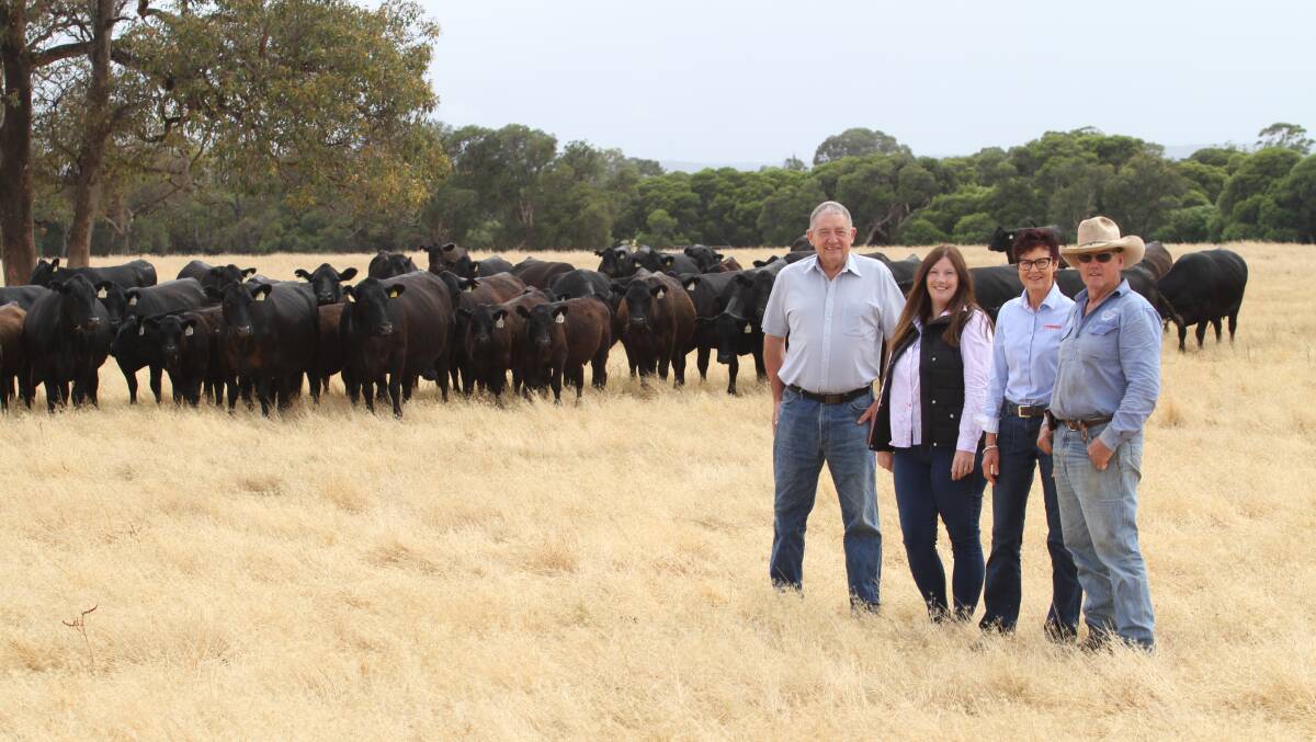 The Edwards family, Plain Grazing Company, Beermullah (via Gingin), will be supplying the Gingin Glamours 10 Angus heifers for the 17th annual Farm Weekly win 10 Angus heifers competition for 2023/24. With some of the Edwards familys Angus cows and early April 2023-drop Angus calves were WA Angus Society promotions officer Mark Hattingh (left), WA Angus Society newsletter co-ordinator Jessica Dewar, Farm Weekly business development and sales manager Wendy Gould and Brett Edwards, Plain Grazing Company.