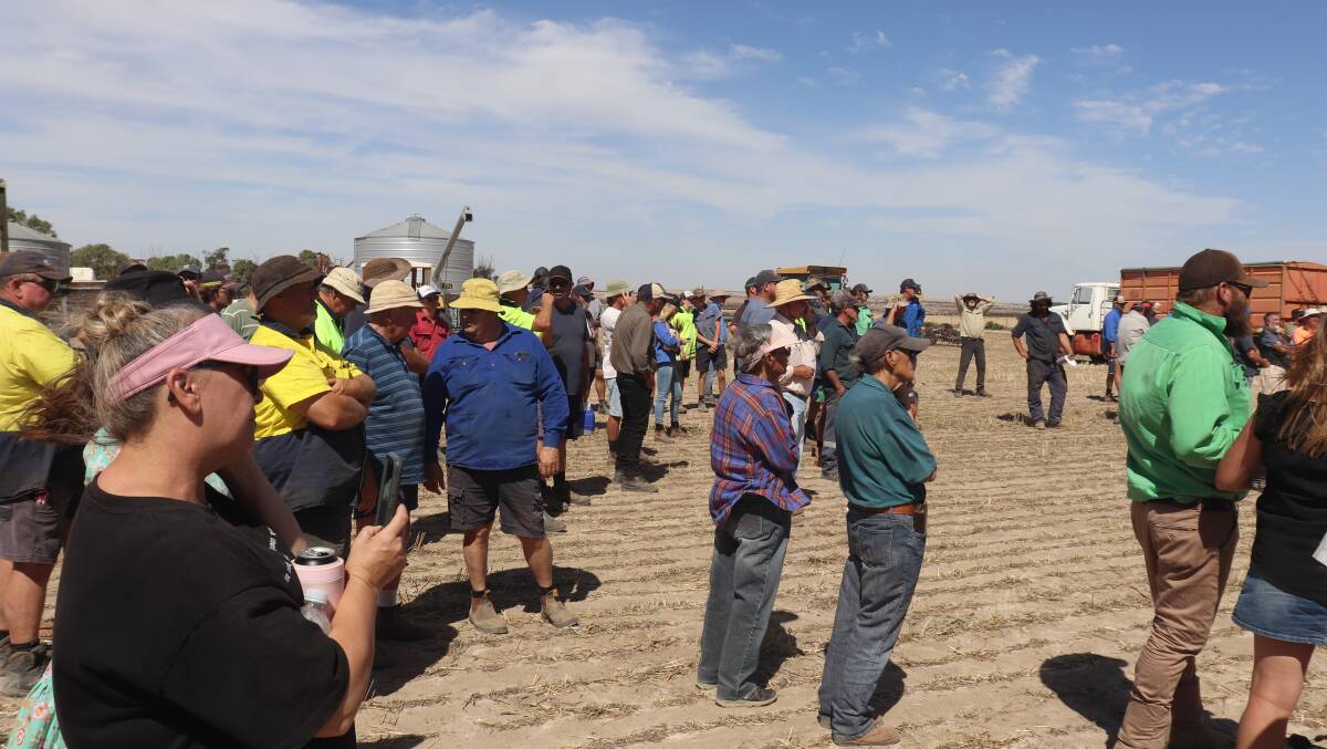 Attendees look on as the auction works it was through the lines at the North Baandee clearing sale.
