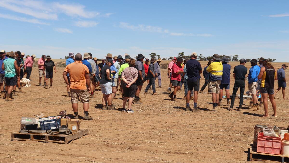 Some of the bidding action at the Elders Kalannie clearing sale last week.