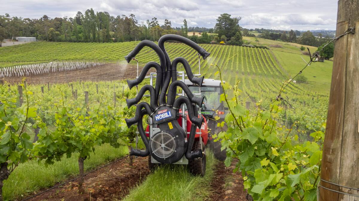COVERAGE IS KEY:  The new Silvan Oktopus trailed sprayer at work at Seville Estate vineyard in the Yarra Valley, Victoria. 
The system includes a 1000 litre Polytuff tank and is fitted with the Oktopus ten outlet spray head powered by a 450mm diameter turbine fan for targeted penetration into the canopy.