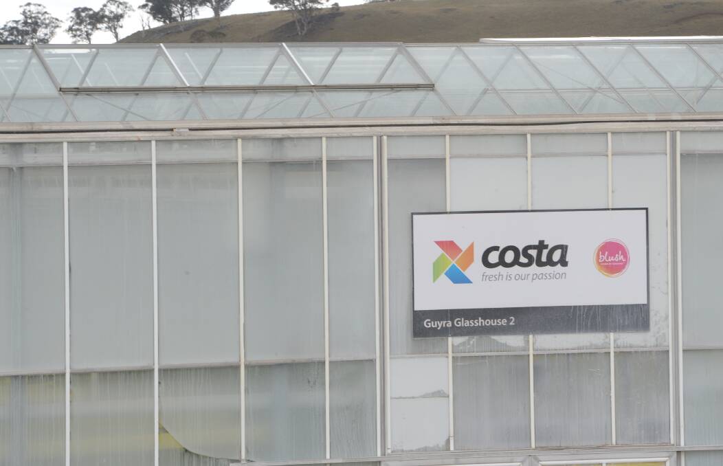 New North American owners have expansion plans for Costa Group. File photo.