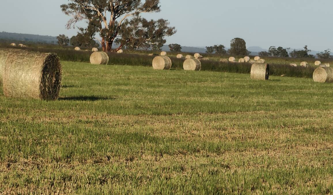 The Australian Farmland Index provides a $2 billion property portfolio snapshot of agricultural earnings and capital valuation. File photo. 