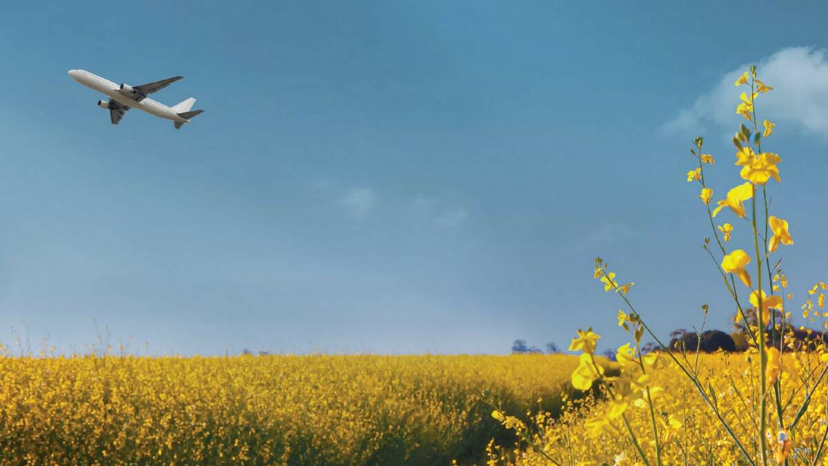 Nufarm's Nuseed carinata oilseed will be grown commercially in South America, the US, France and Spain this year to meet fast growing demand for sustainable aviation fuel. Image supplied