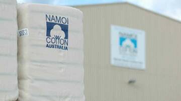 Namoi Cotton ginned 1.16 million bales of last season's 5.5m bale Australian cotton crop.