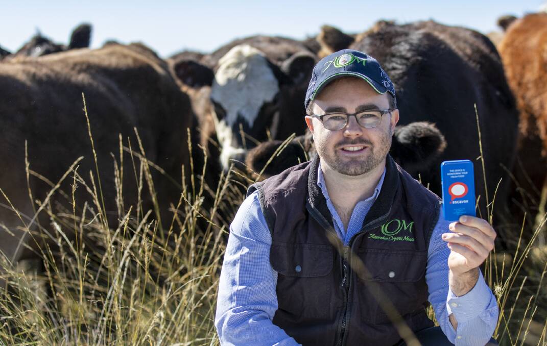 Australian Organic Meats business development manager Sam O'Leary, with an Escavox tracker on the O'Leary family's property Glenbye in Central West NSW.