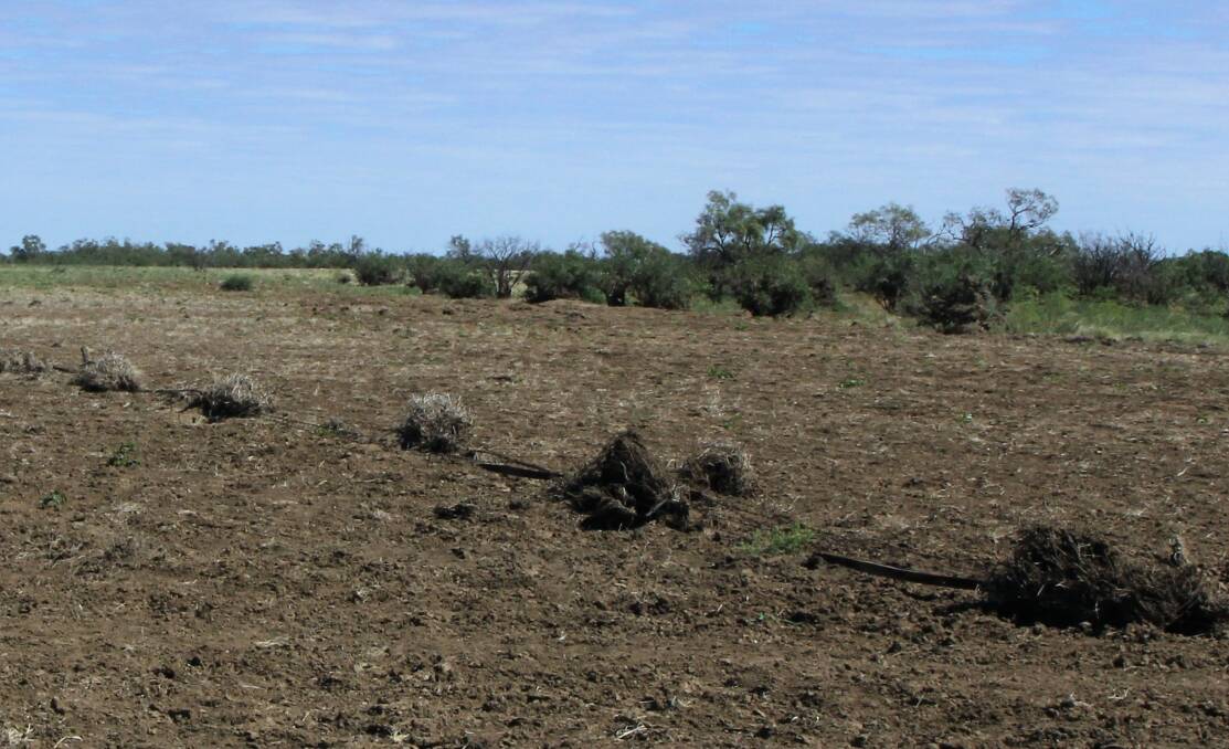 What's left of a Nelia district fence line in Queensland's McKinlay Shire, still to be replaced after February's floods. Photo: Sally Cripps