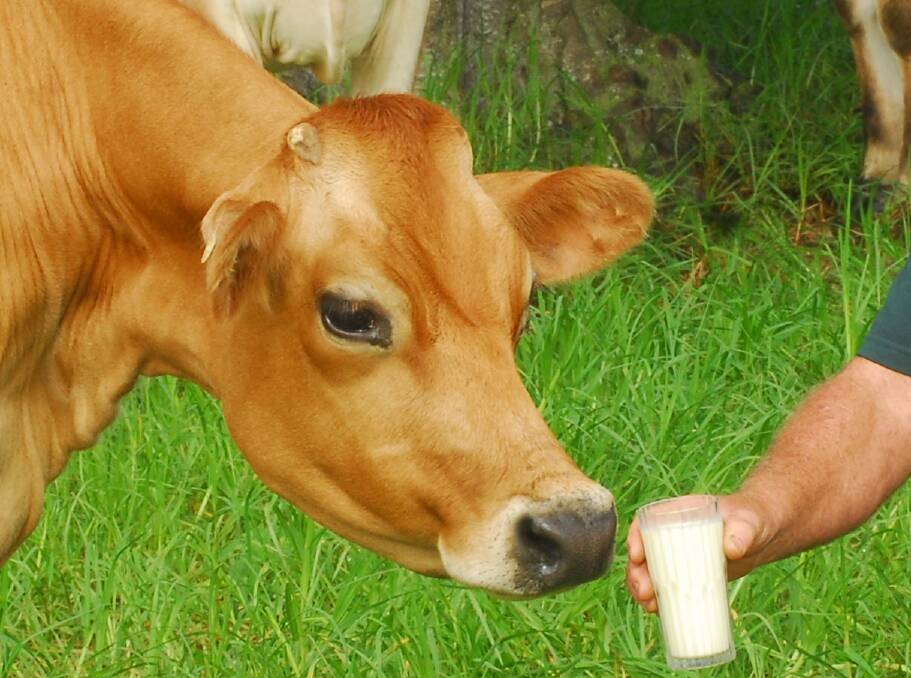 Consumer perceptions of milk set to soar